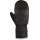Dakine Fleetwood Glove black