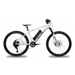 Ben-E-Bike Twentysix E-Power Pro 375Wh weiß