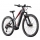 Conway Cairon S 4.0 Trapez 29" shadowgrey metallic red metallic