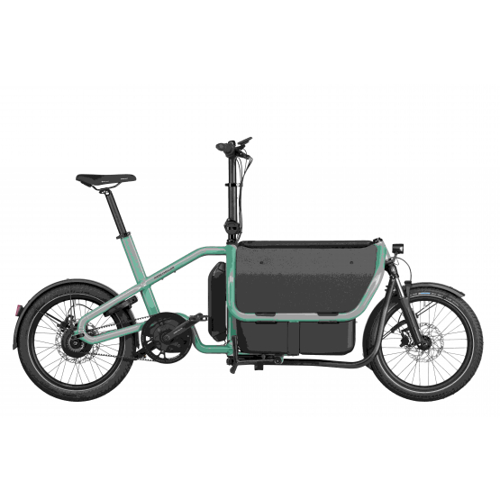 Riese und Müller Carrie vario 545Wh,Intuvia100, Flexbox, Regenschutz,Kindersitze, gefed.Sattelstütze, RX Chip TESTBIKE auqa