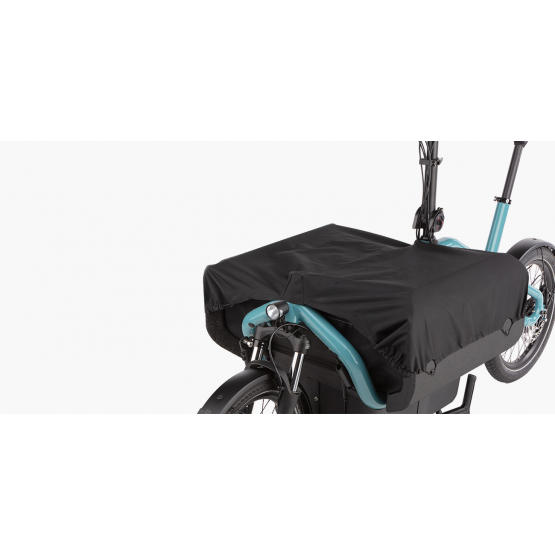 Riese und Müller Carrie vario 545Wh,Intuvia100, Flexbox, Regenschutz,Kindersitze, gefed.Sattelstütze, RX Chip TESTBIKE auqa