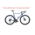Colnago V4Rs Disc Ultegra Di2 12v Fulcrum Racing600 RVBU