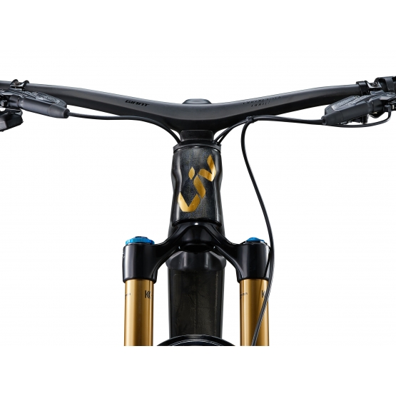LIV Intrigue X Advanced E+ Elite 1 raw carbon