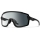 Smith Wildcat Clear Photochromic Grey black