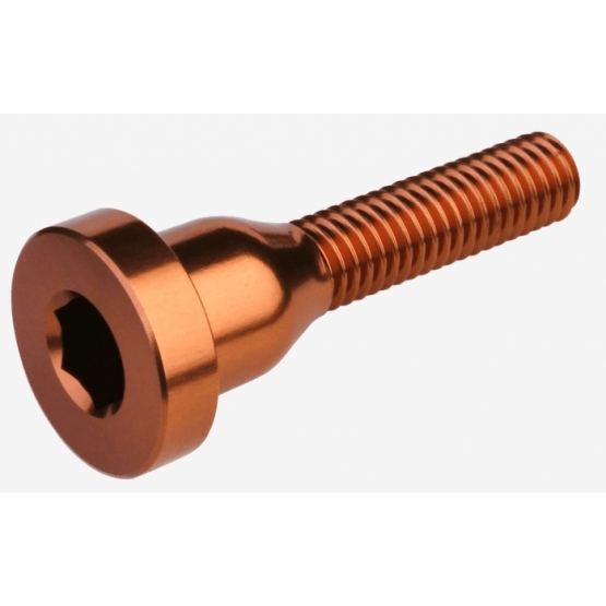 Burgtec Top Cap Bolt kash bronze