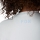 Fox Woman Ranger SS Jersey Fox Head pale blue