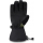 Dakine Leather Titan Gore-Tex Glove mulled basil